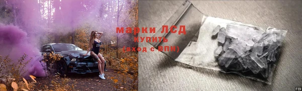 гидропоника Гусиноозёрск
