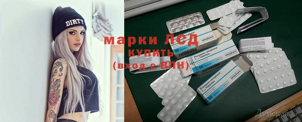 гидропоника Гусиноозёрск