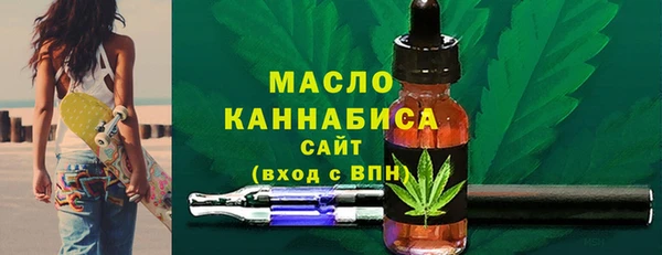 амф Гусь-Хрустальный