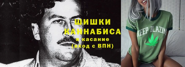 кристаллы Гусев