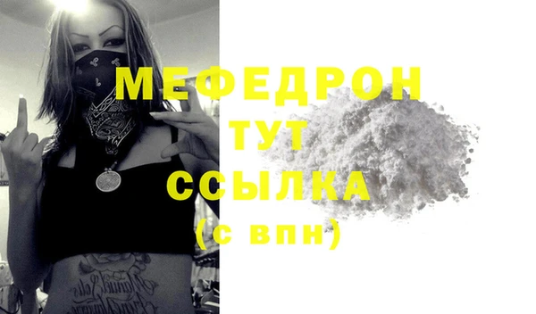 амф Гусь-Хрустальный