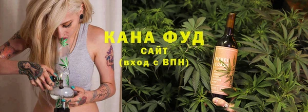 амф Гусь-Хрустальный