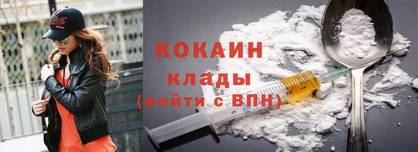 гидропоника Гусиноозёрск