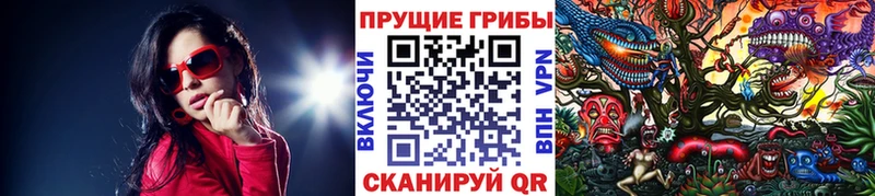 Псилоцибиновые грибы мухоморы  Купить закладки  Кыштым 