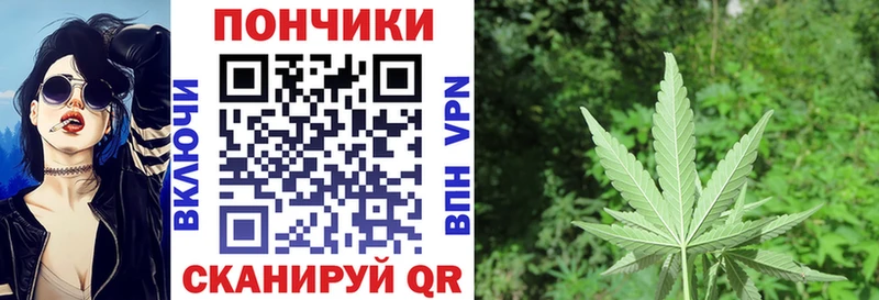 Купить закладки  Кыштым  МАРИХУАНА семена 